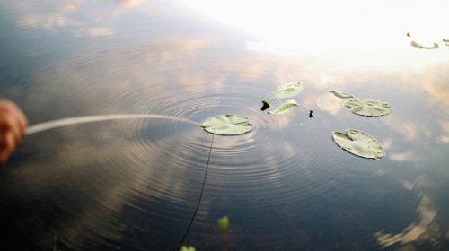 الفلورايد في مياه الشرب